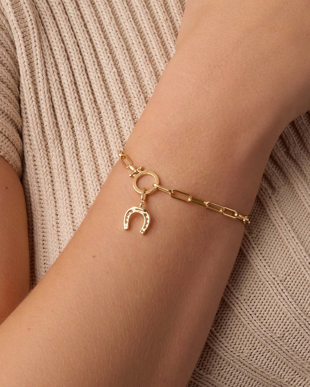 Horseshoe Parker Charm