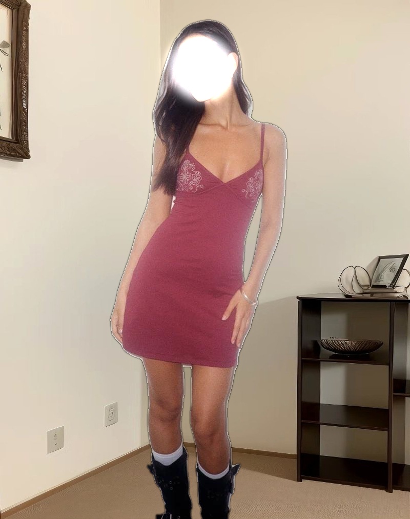 Dimaya Mini Dress in Burgundy with Floral Embroidery