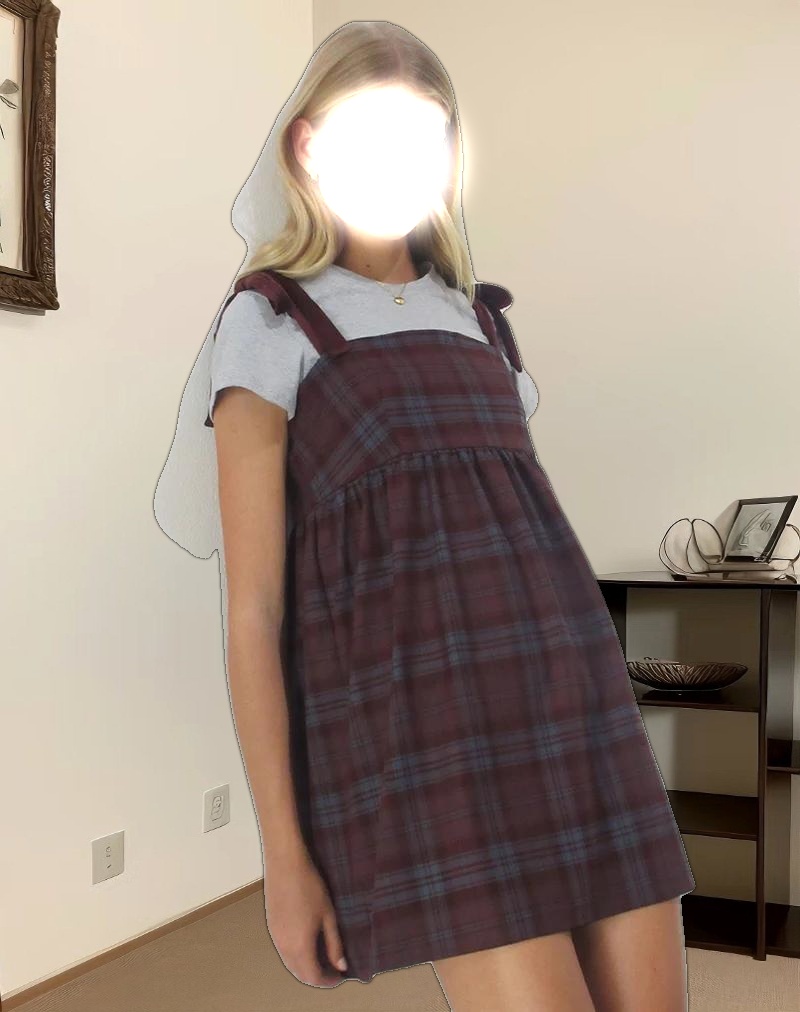 Mikayla Mini Dress in Burgundy and Blue Check