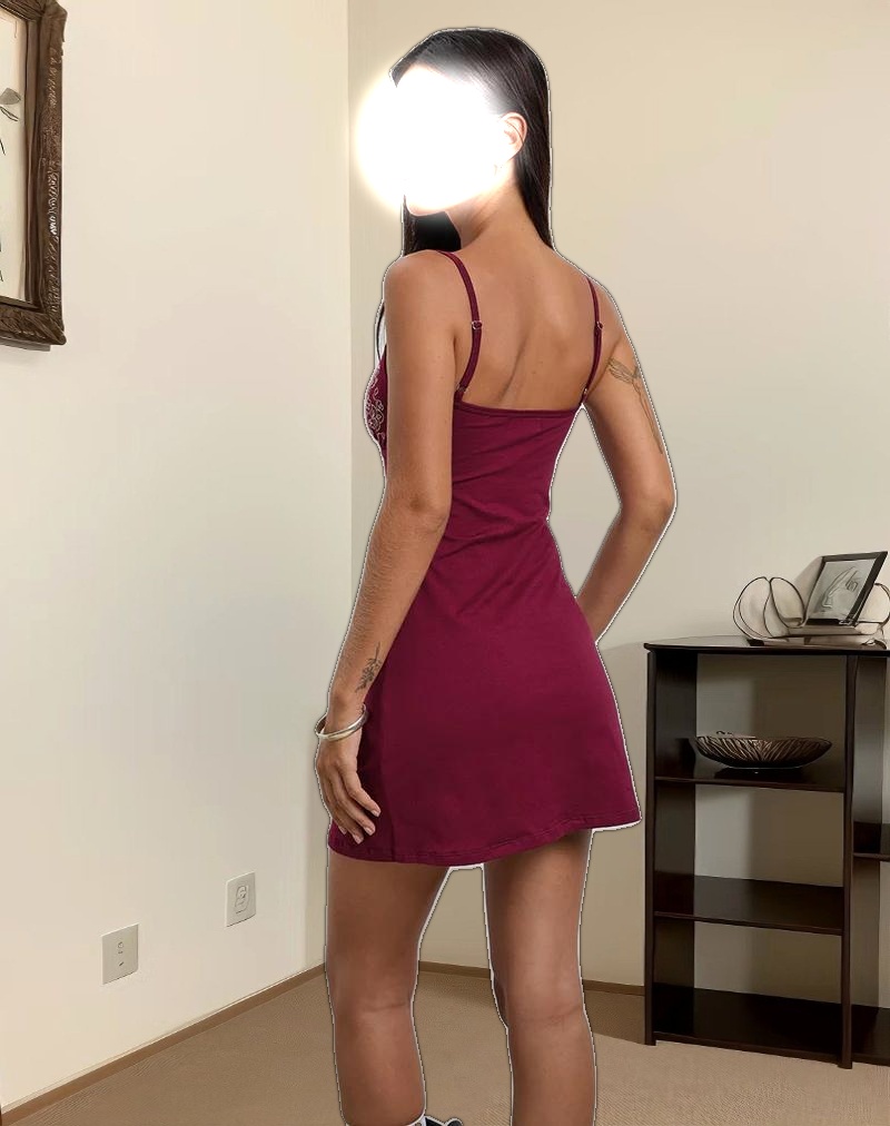 Dimaya Mini Dress in Burgundy with Floral Embroidery