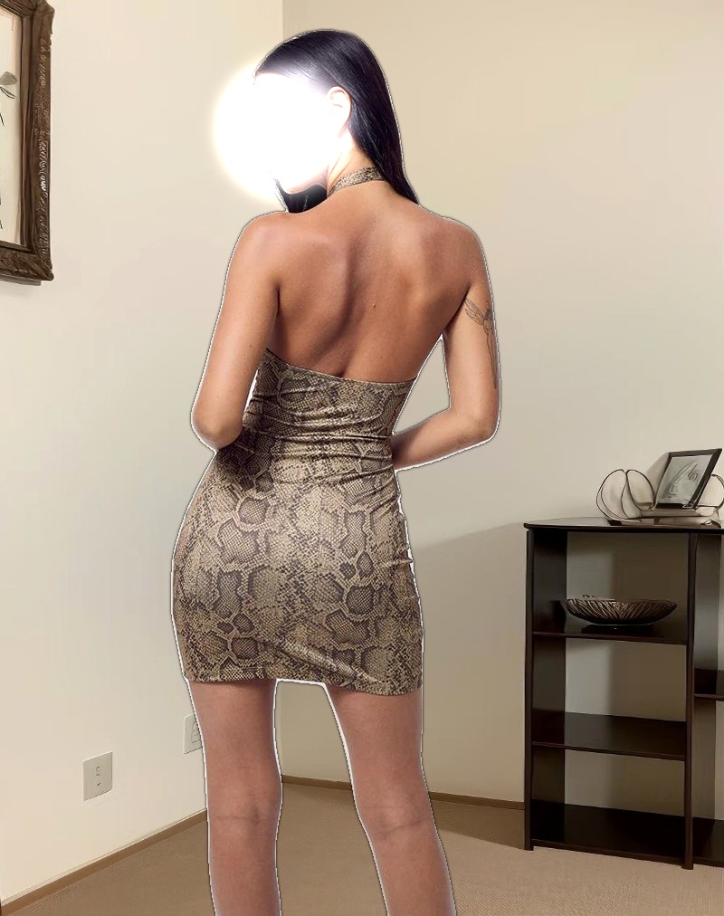 Janora Bodycon Mini Dress in Brown Snake Print