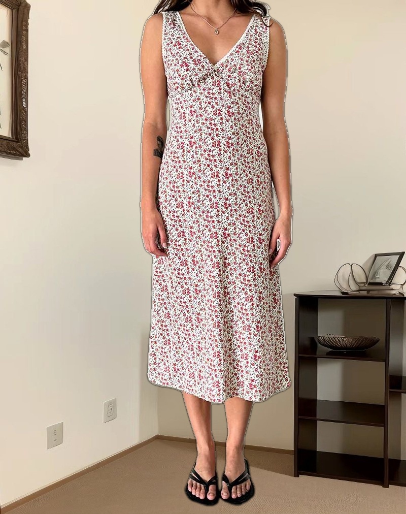 Lavisha Midi Dress in Pretty Ditsy