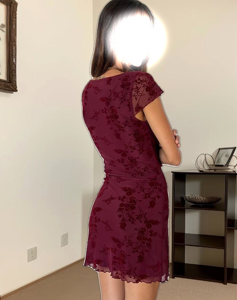 Lashka Mini Dress in Botanical Flower Maroon