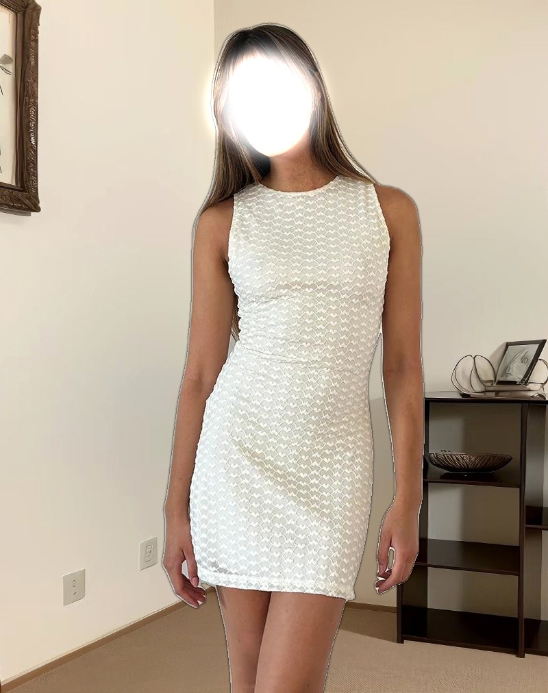 Sechium Mini Dress in Heart Lace Ivory