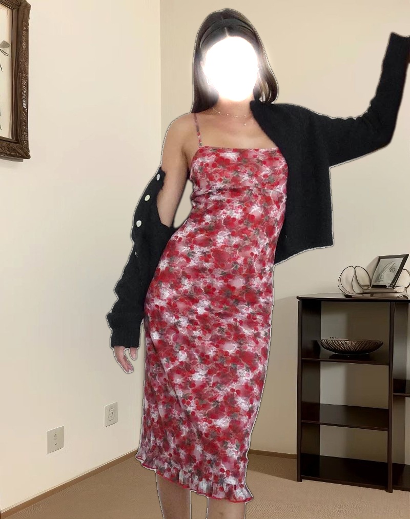 Nawari Midi Dress in Printed Lace Cherry