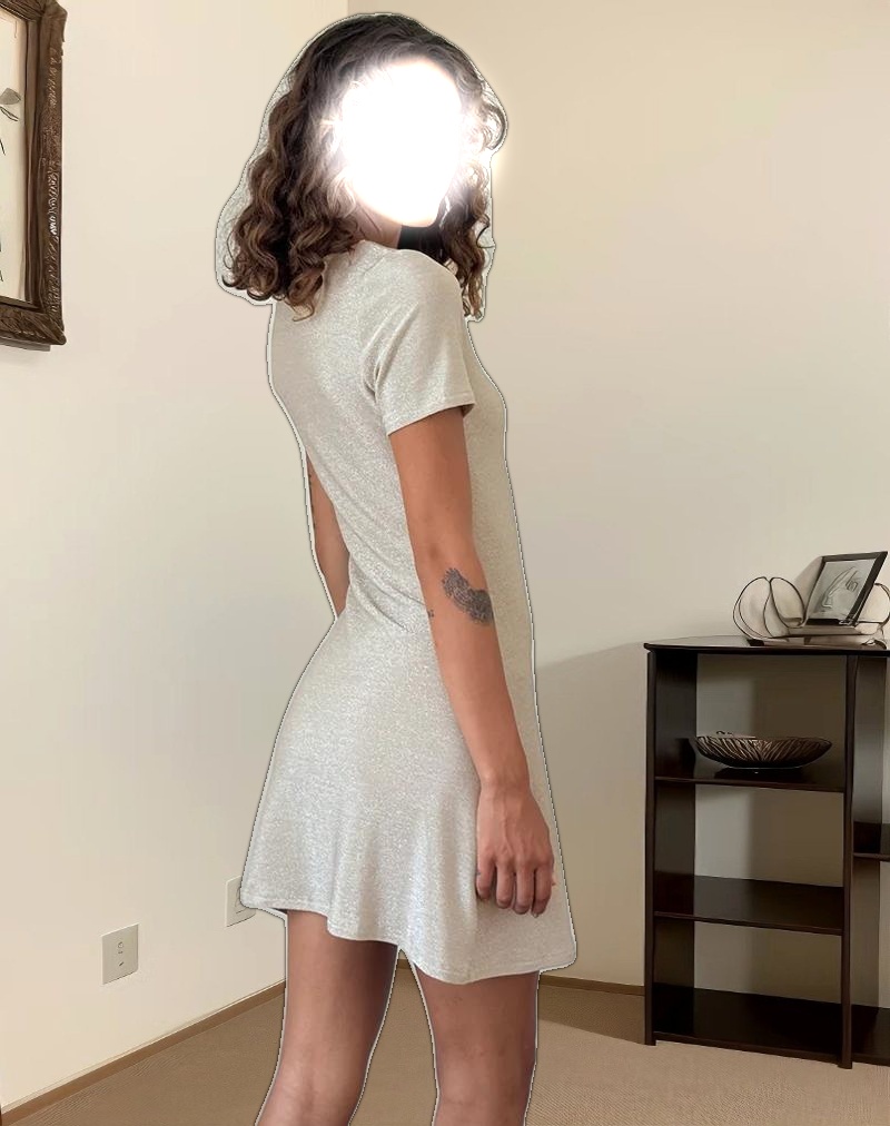 Leora Mini Dress in Silver Mink