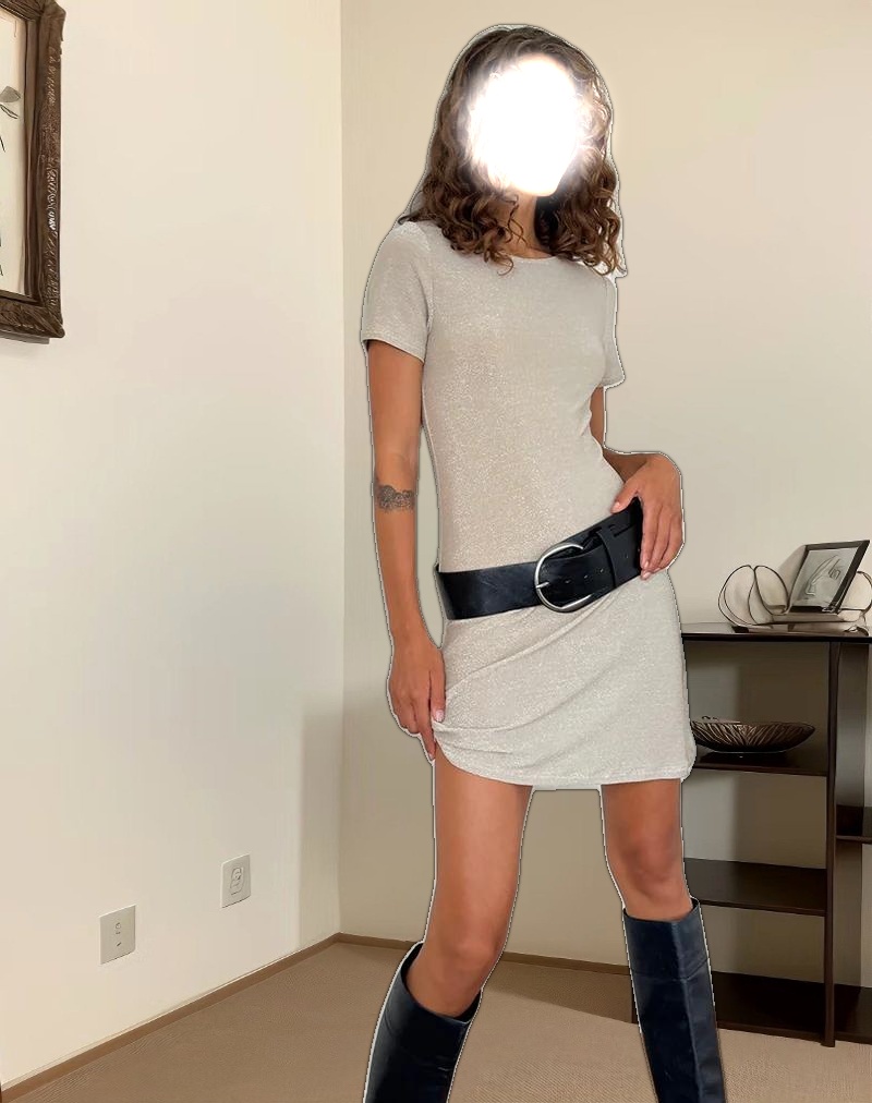 Leora Mini Dress in Silver Mink