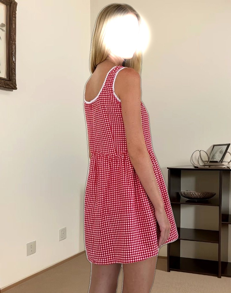 Leshi Mini Dress in Red Gingham