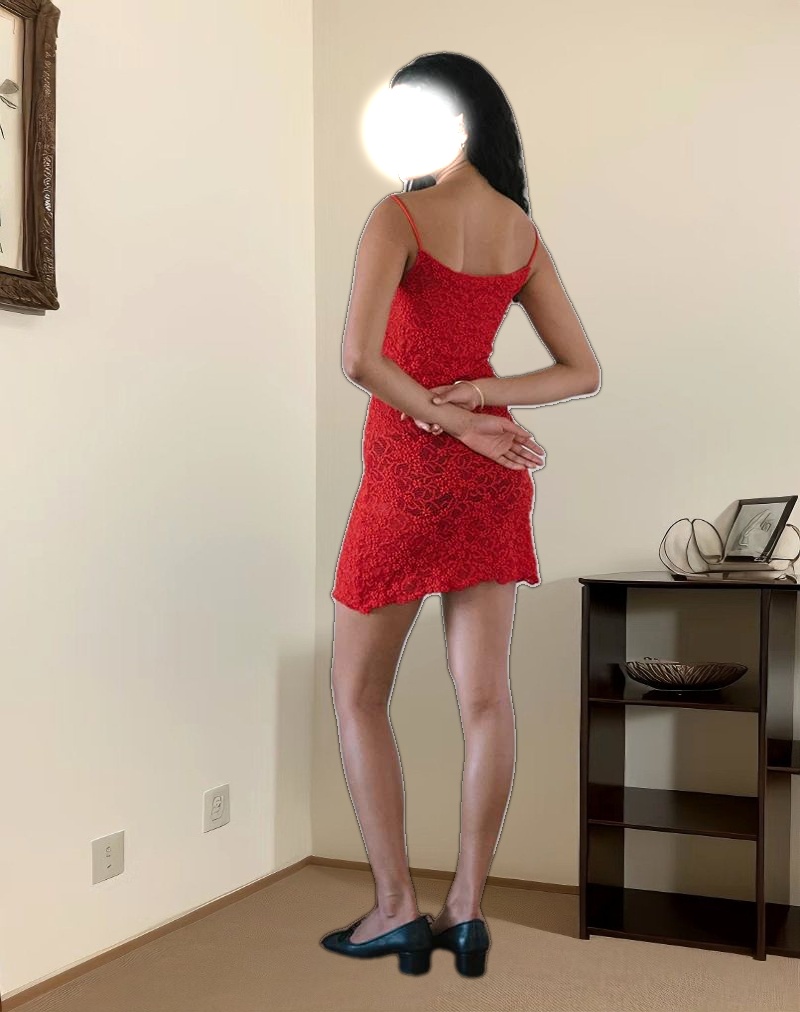 Ismene Mini Dress in Unlined Lace Red