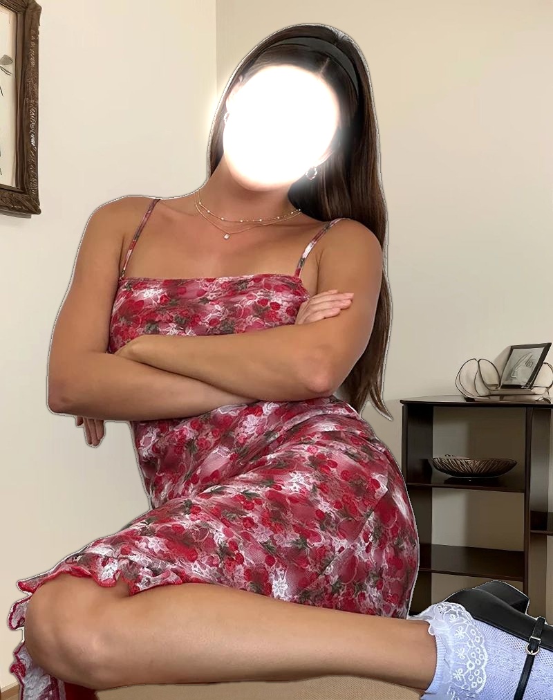 Nawari Midi Dress in Printed Lace Cherry