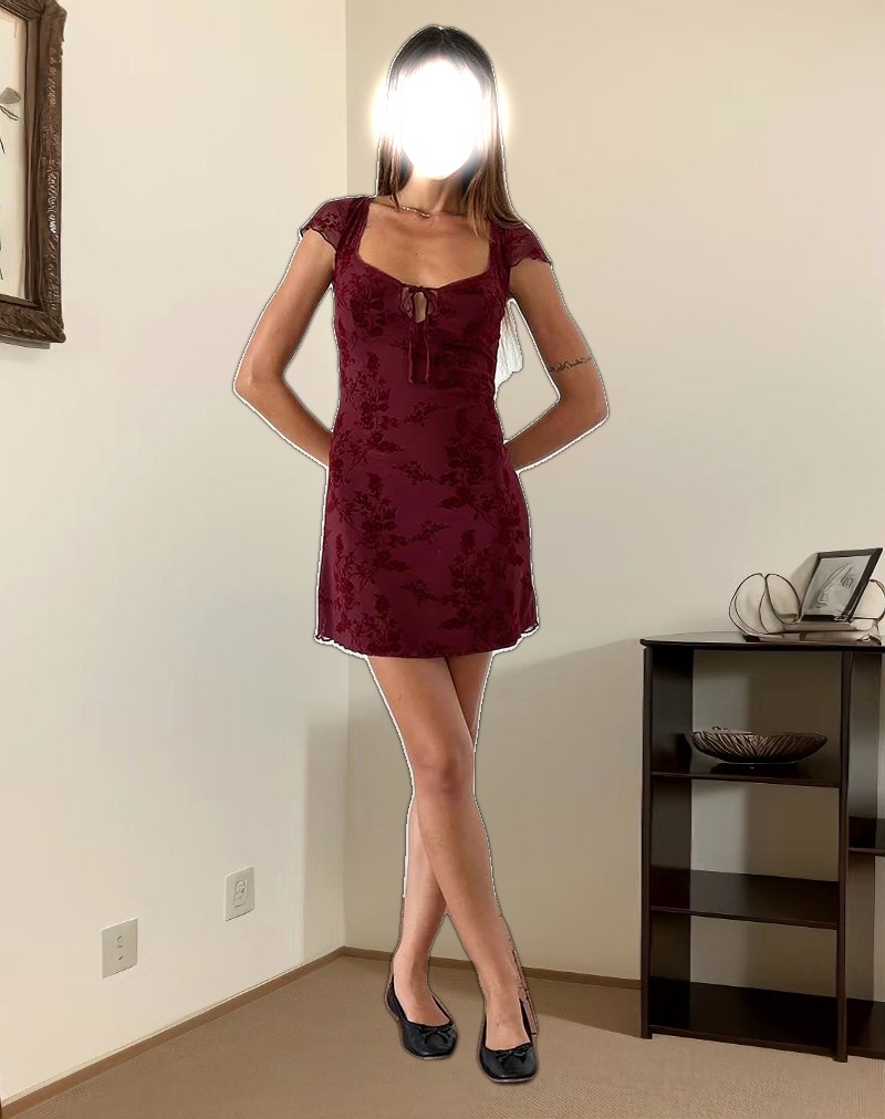 Lashka Mini Dress in Botanical Flower Maroon
