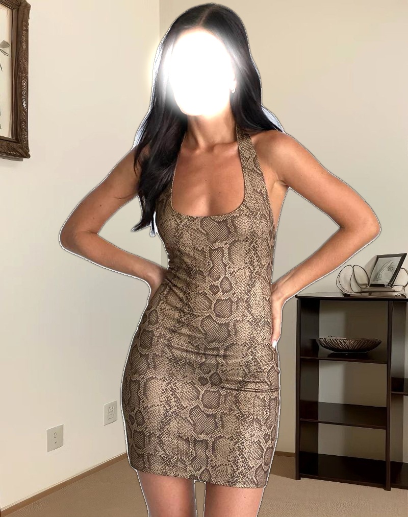 Janora Bodycon Mini Dress in Brown Snake Print