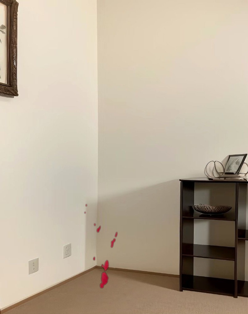 Ohayo Mini Dress in Adrenaline Red