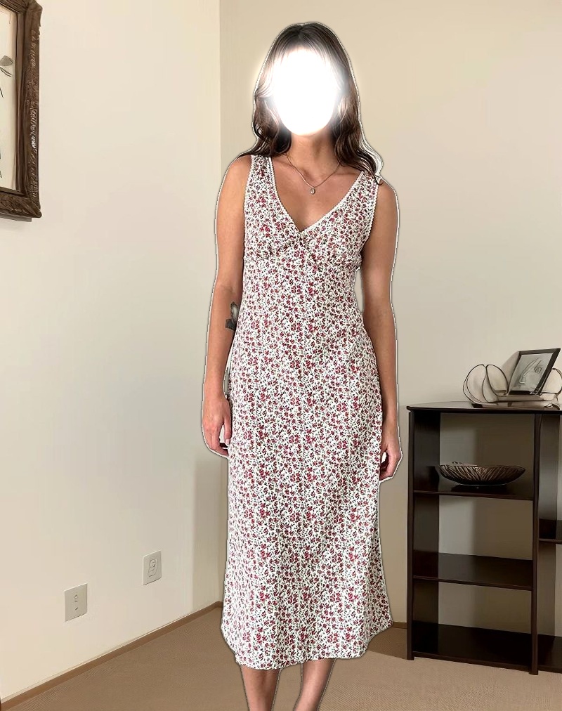 Lavisha Midi Dress in Pretty Ditsy