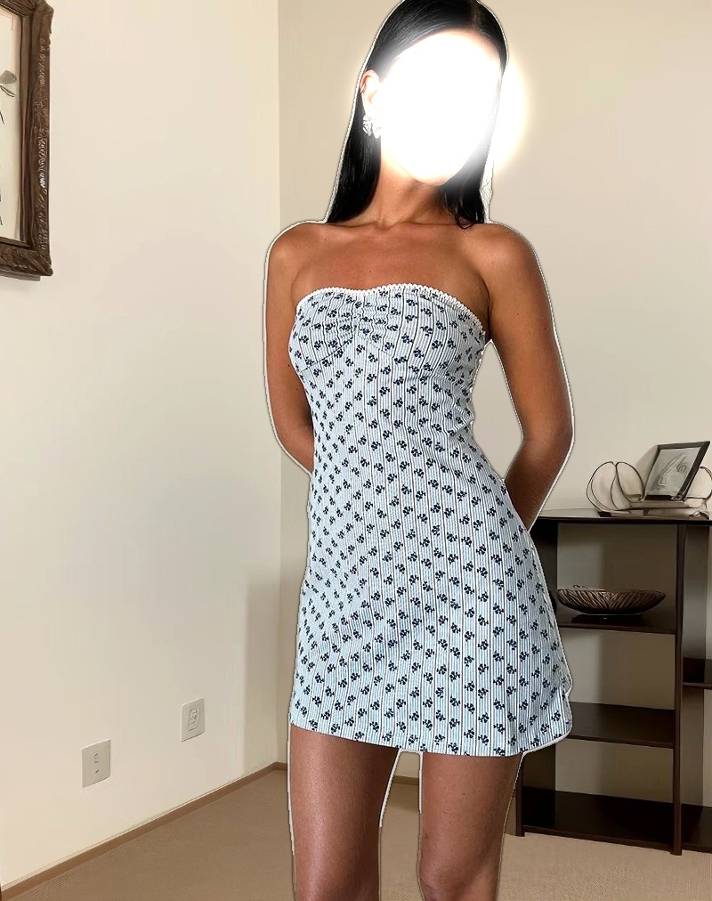 Javaya Bandeau Mini Dress in Floral Stripe