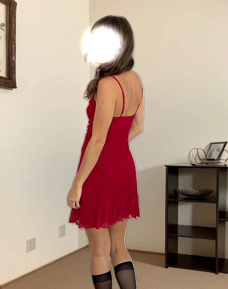 Micaya Mini Dress in Red Heart Flocked Mesh