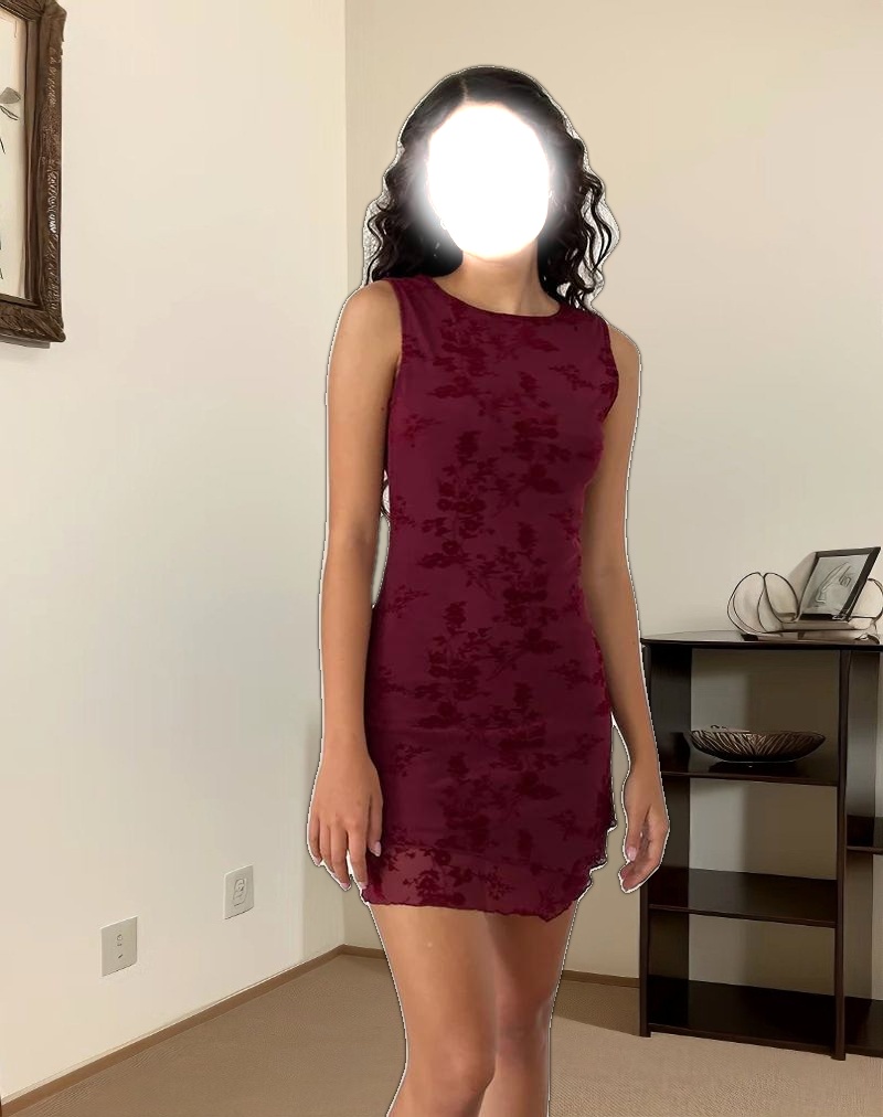 Renata Mini Dress in Flocked Botanical Flower Maroon