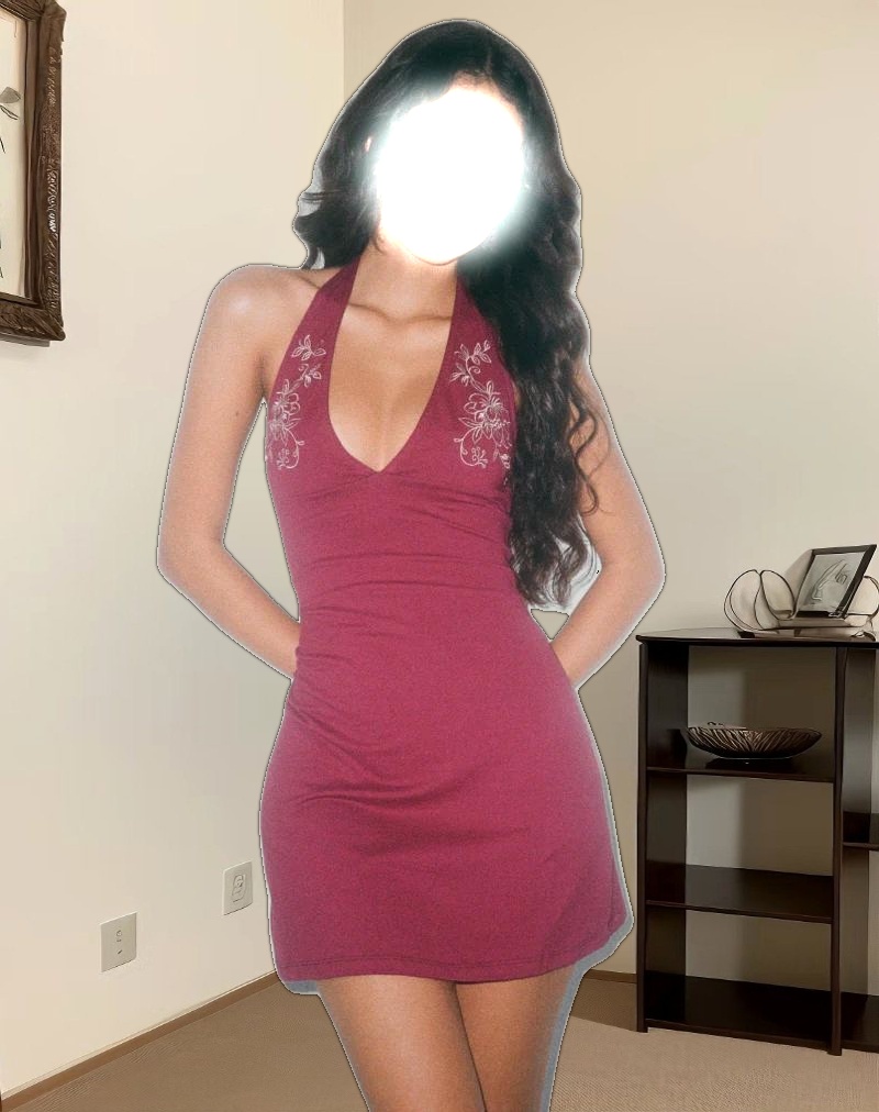 Hepzhi Mini Dress in Burgundy With Floral Embroidery