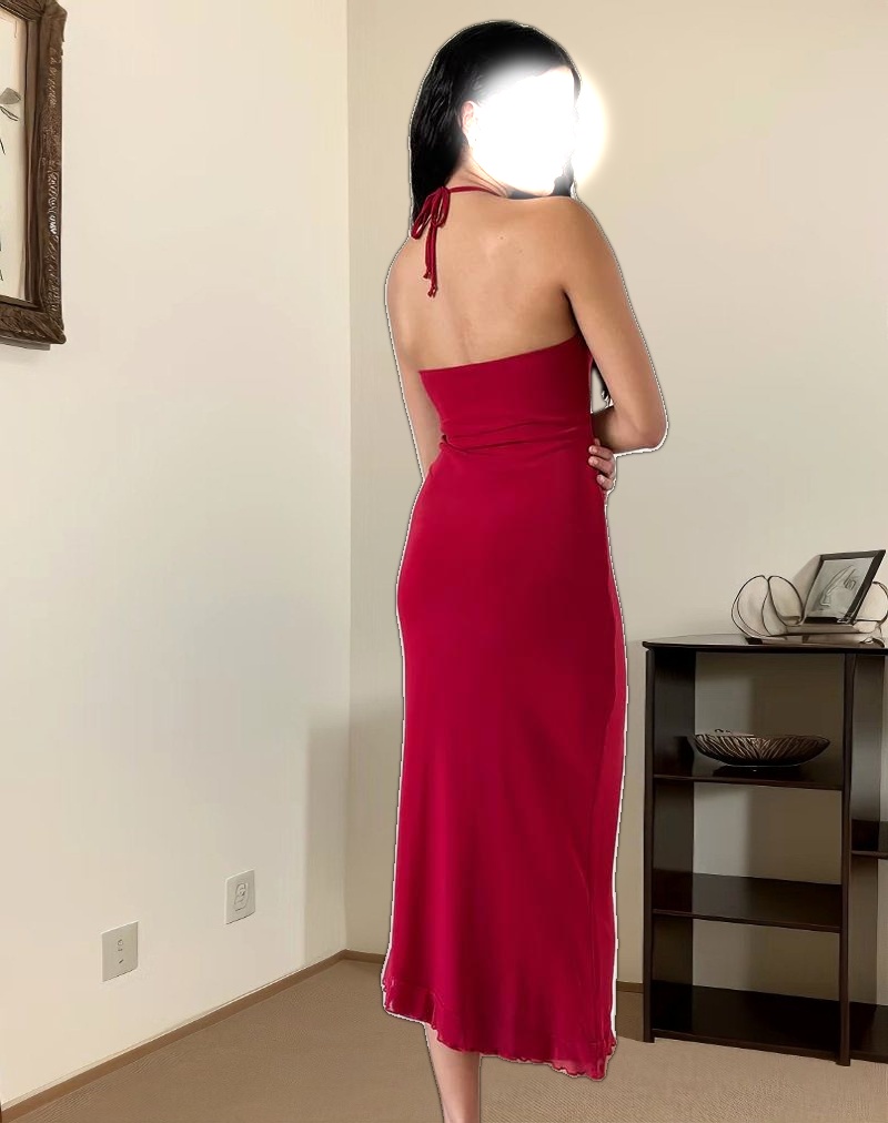 Ribka Halterneck Midi Dress in Mesh Cherry