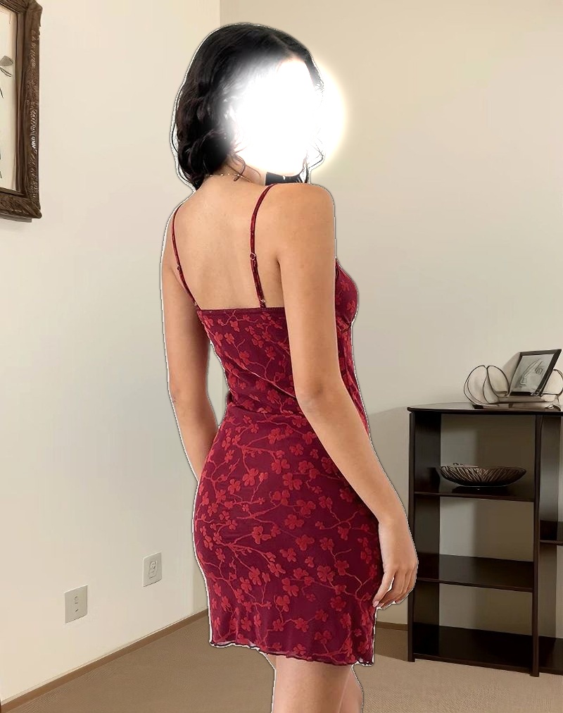 Darsya Mini Dress in Grunge Floral Flock Red