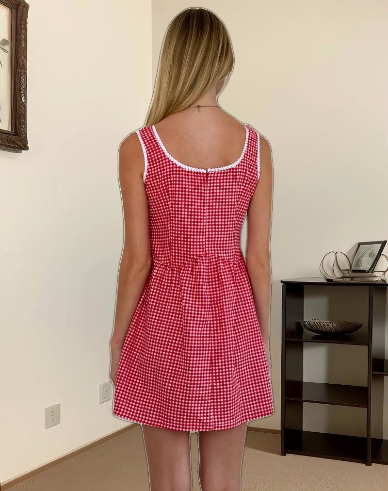 Leshi Mini Dress in Red Gingham