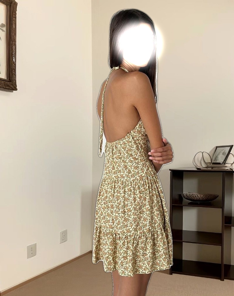 Siskana Mini Dress in Washed Ditsy