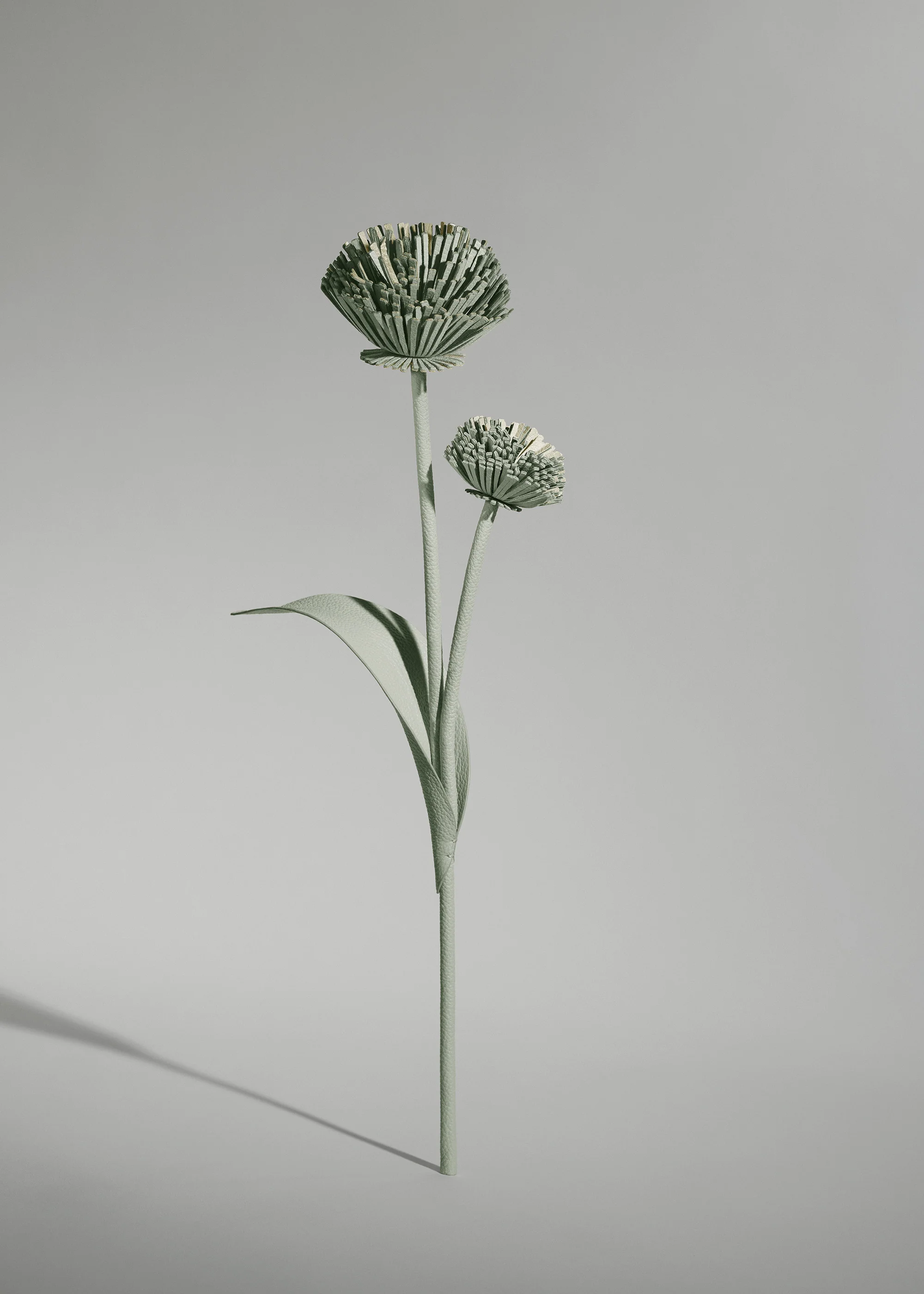 Tul Flower - Duo Fresh Almond