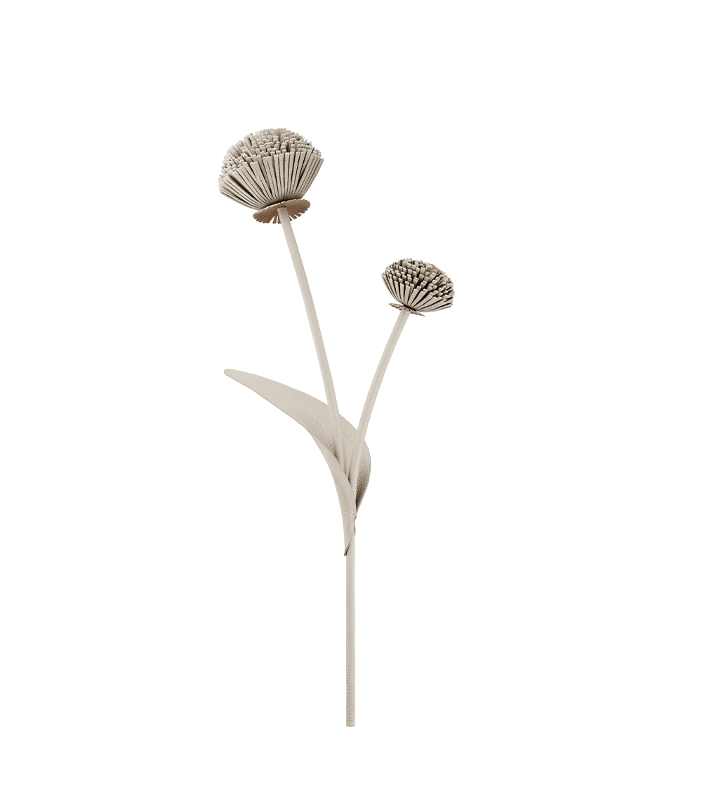 Tul Flower - Duo Chalk