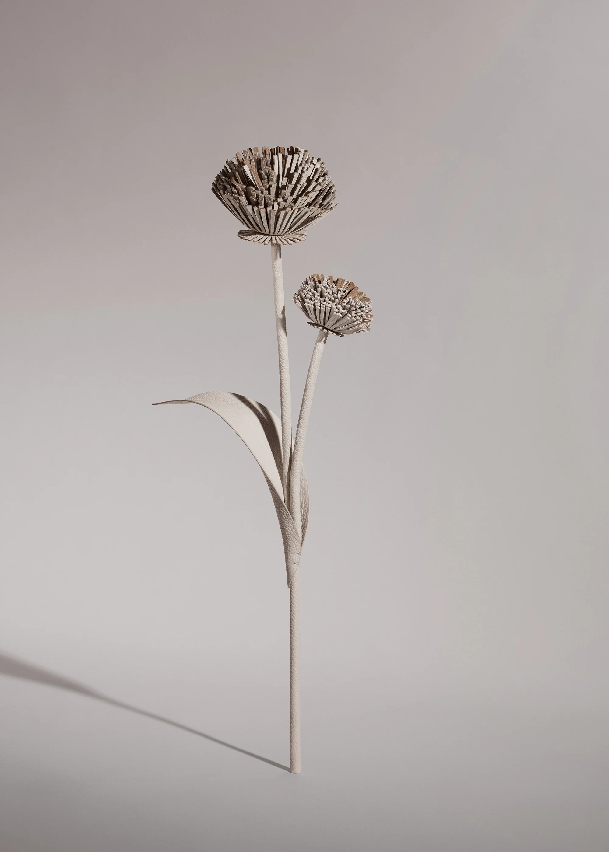 Tul Flower - Duo Chalk