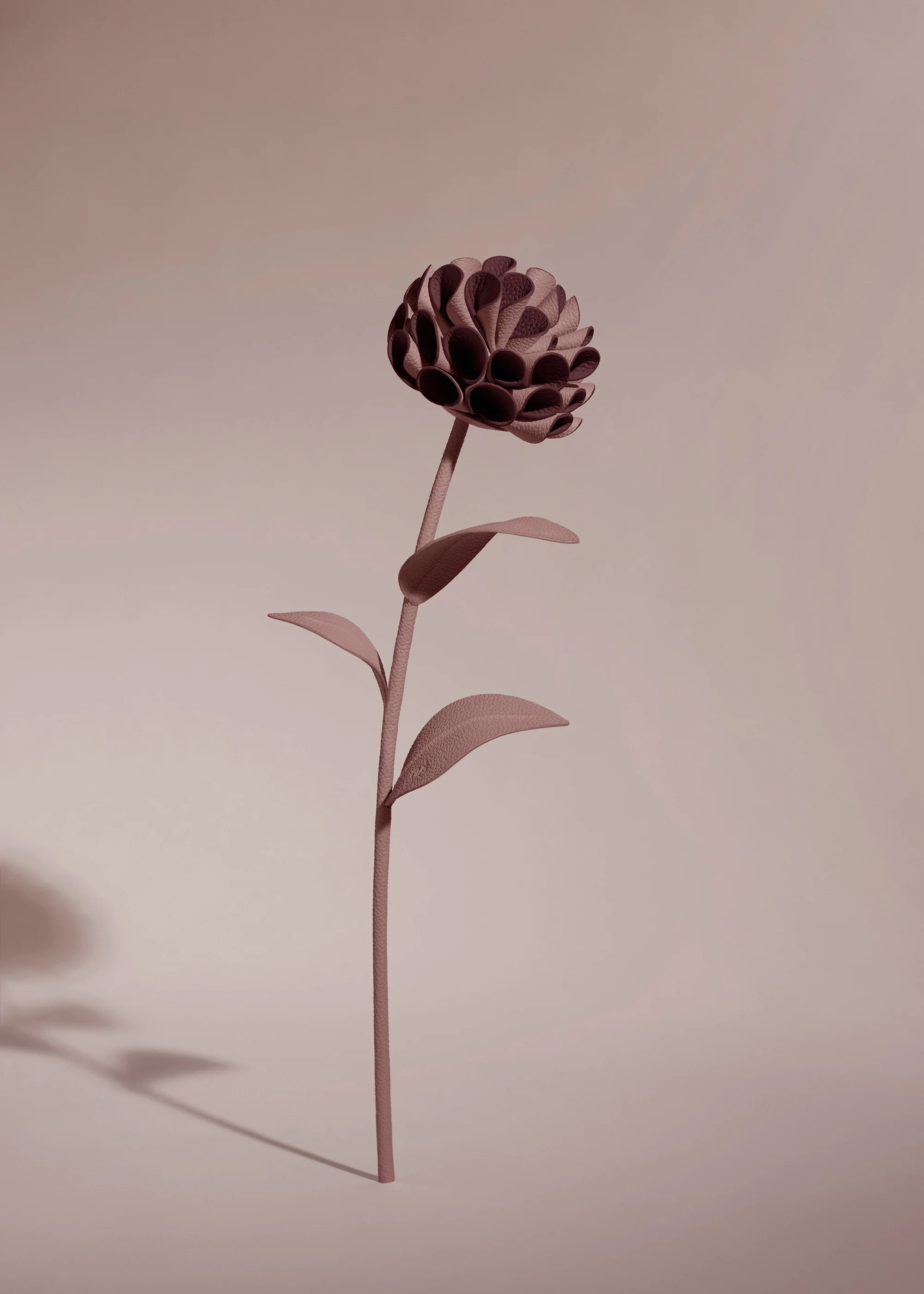 Dalium Flower - Duo Lilac