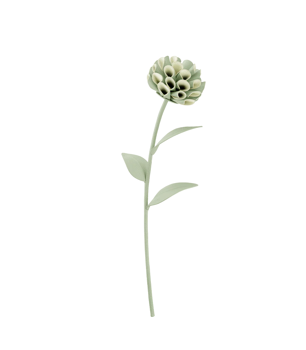 Dalium Flower - Duo Fresh Almond