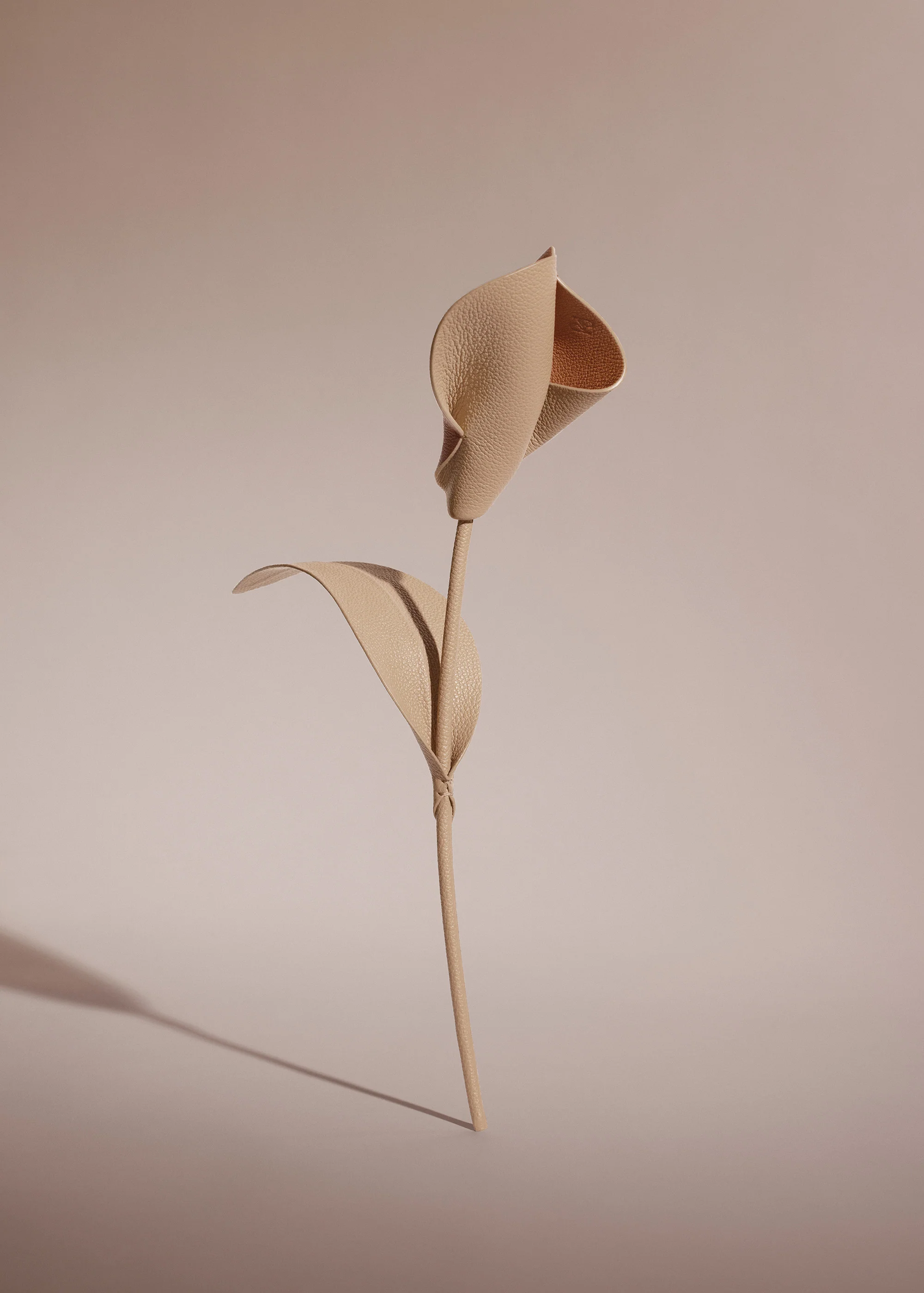 Pili Flower - Duo Beige