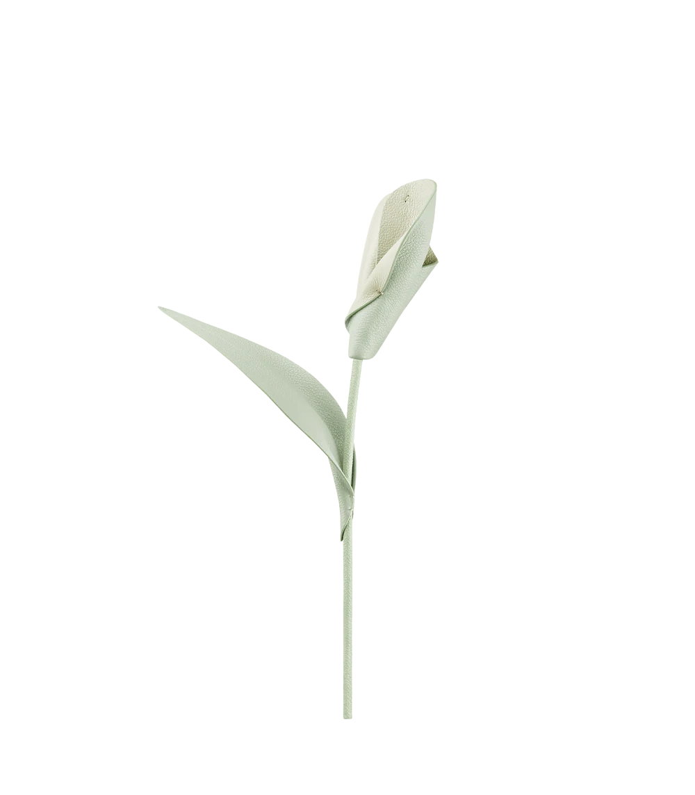 Pili Flower - Duo Fresh Almond