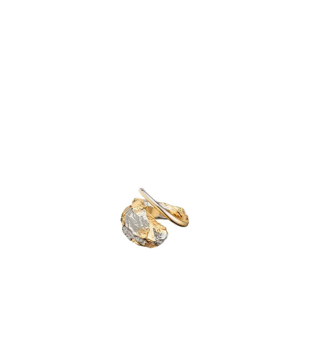 Eroz Ring - Duo palladium with 24 carat gold plating