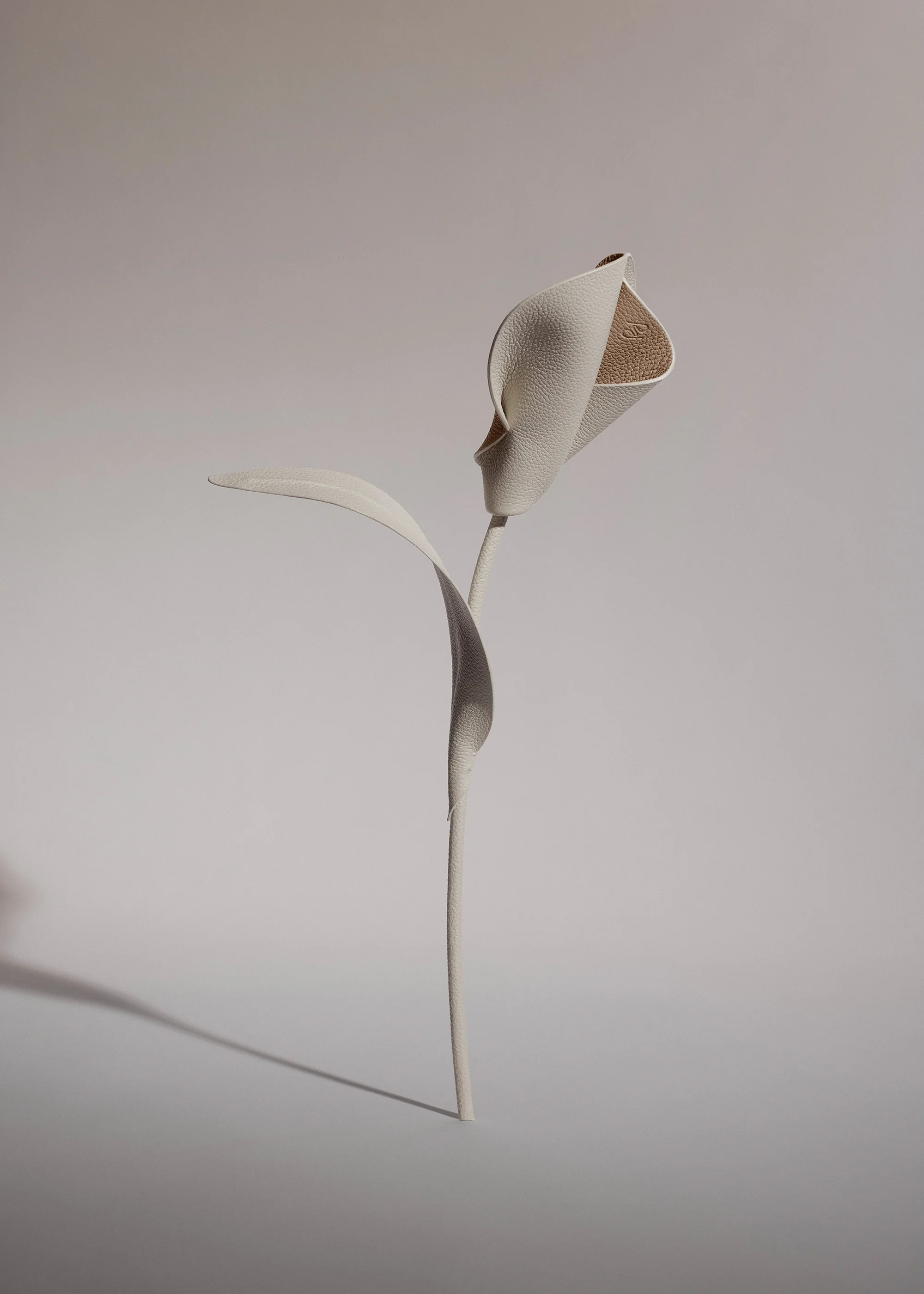 Pili Flower - Duo Chalk