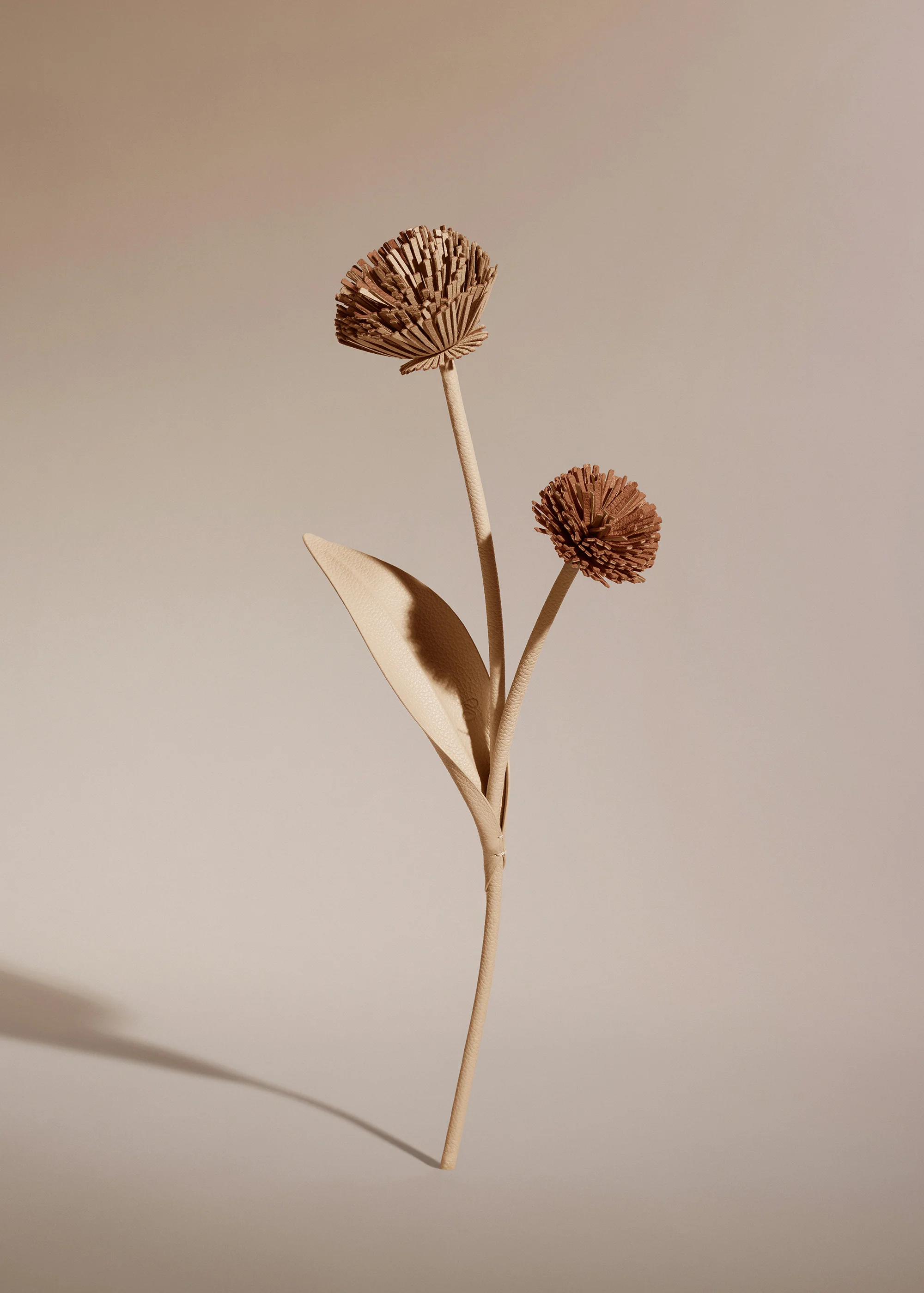 Tul Flower - Duo Beige