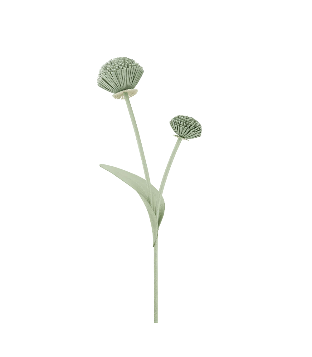 Tul Flower - Duo Fresh Almond