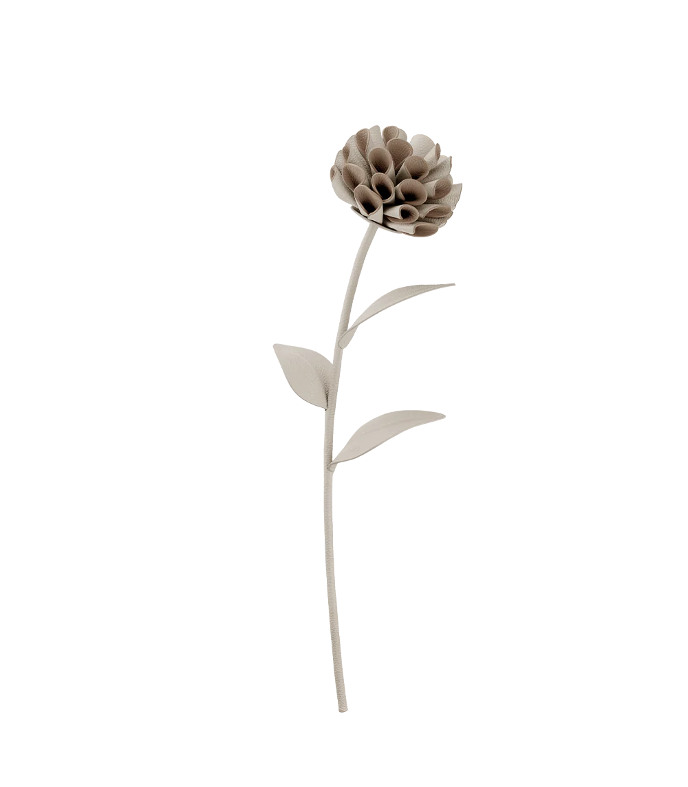 Dalium Flower - Duo Chalk