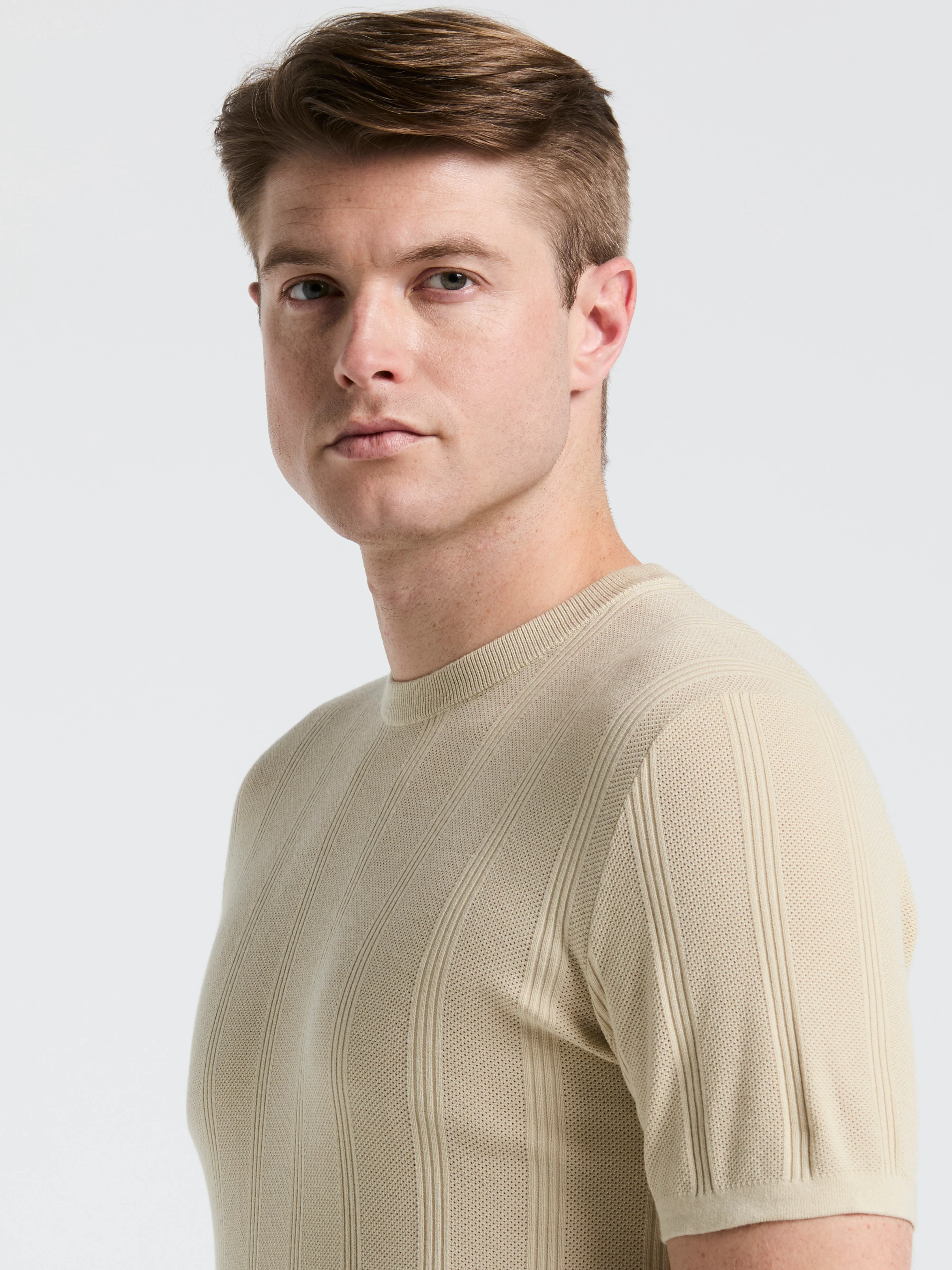 Tech Knit Striped Crew Neck Shirt