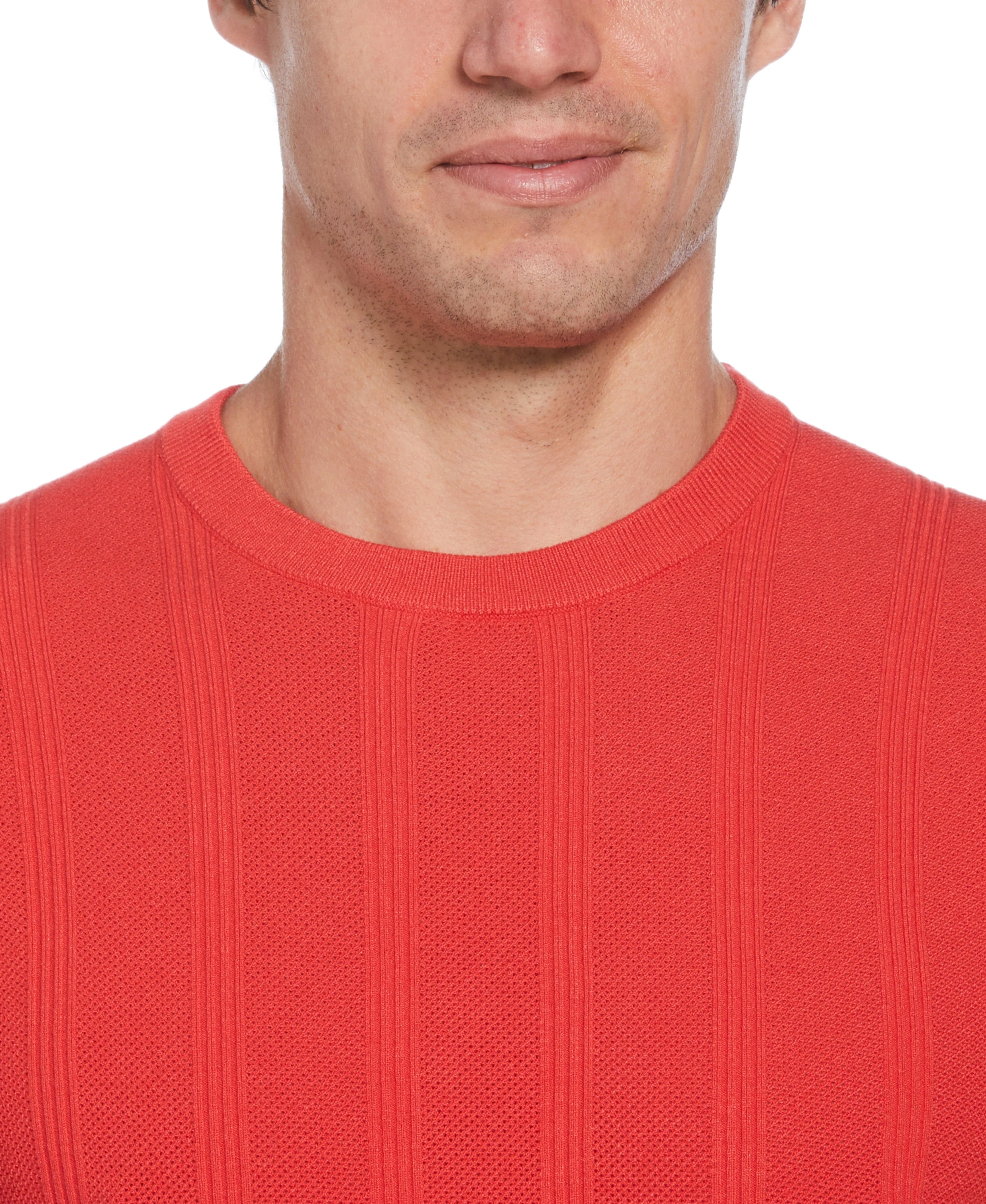 Tech Knit Striped Crew Neck Shirt