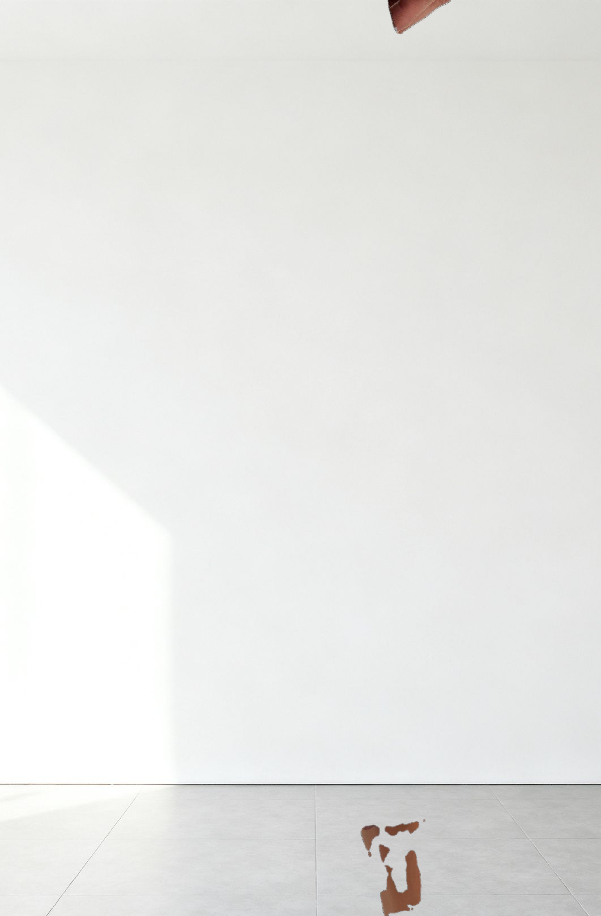 Dova Sequin Midi Skirt