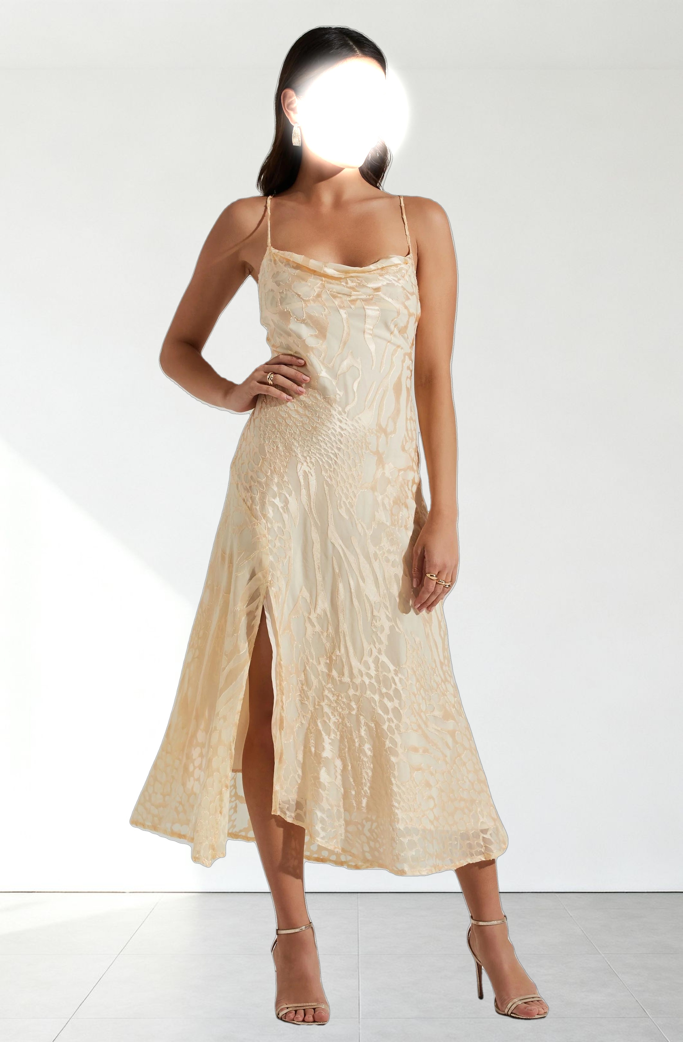 Gaia Burnout Floral Midi Dress