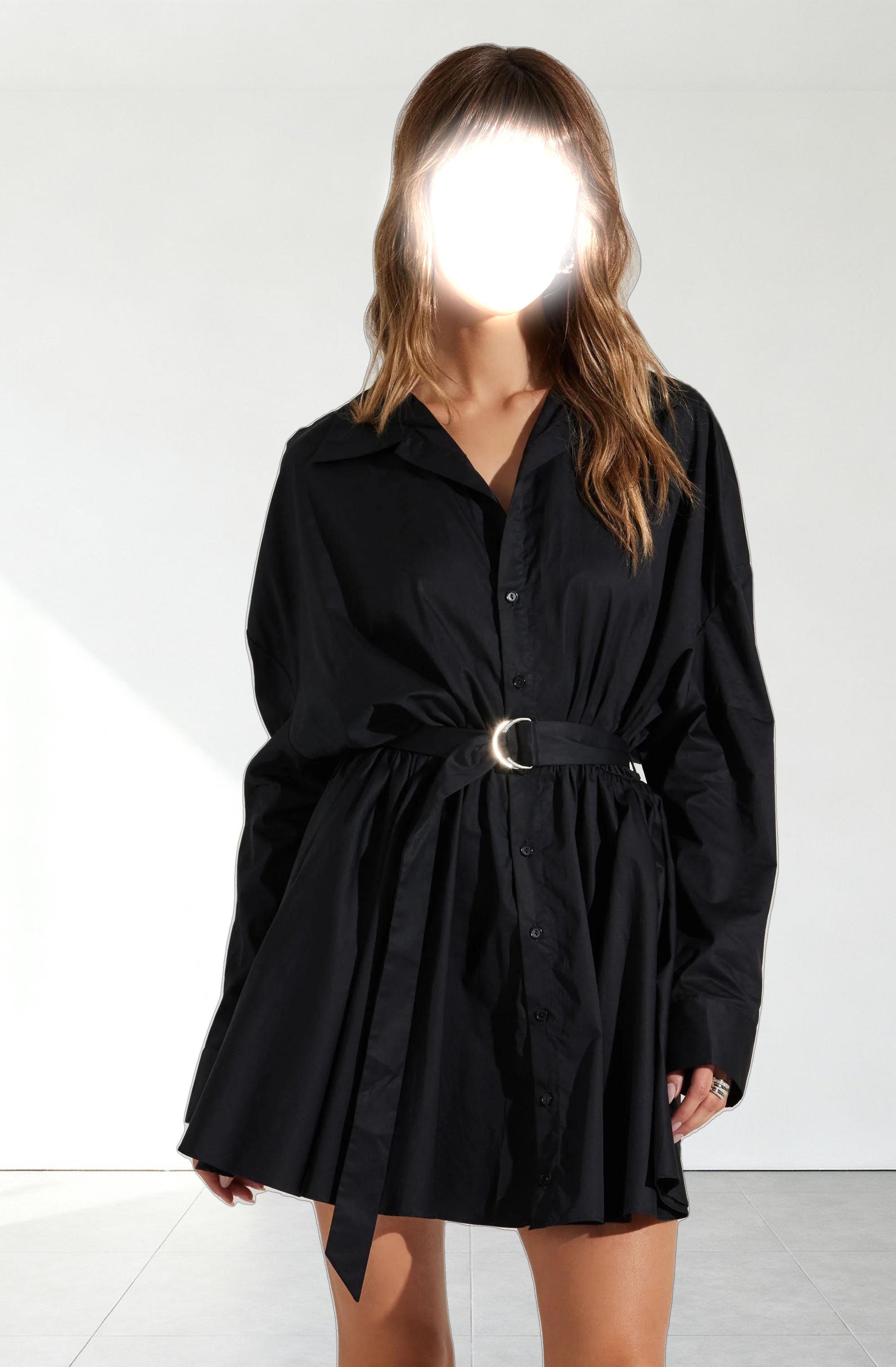 Winica Belted Mini Shirtdress