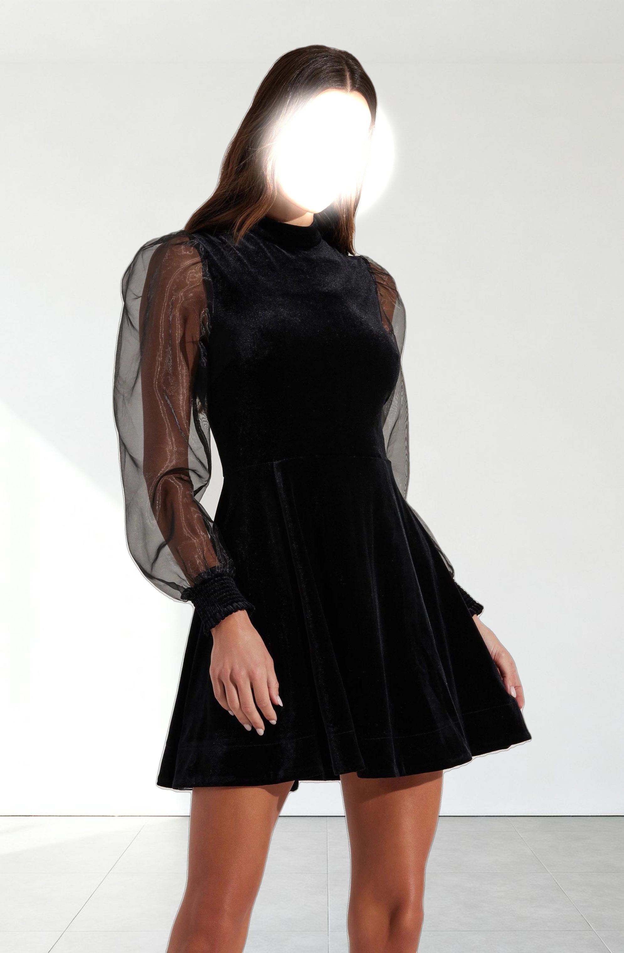 Velvet Sheer Puff Sleeve Dress
