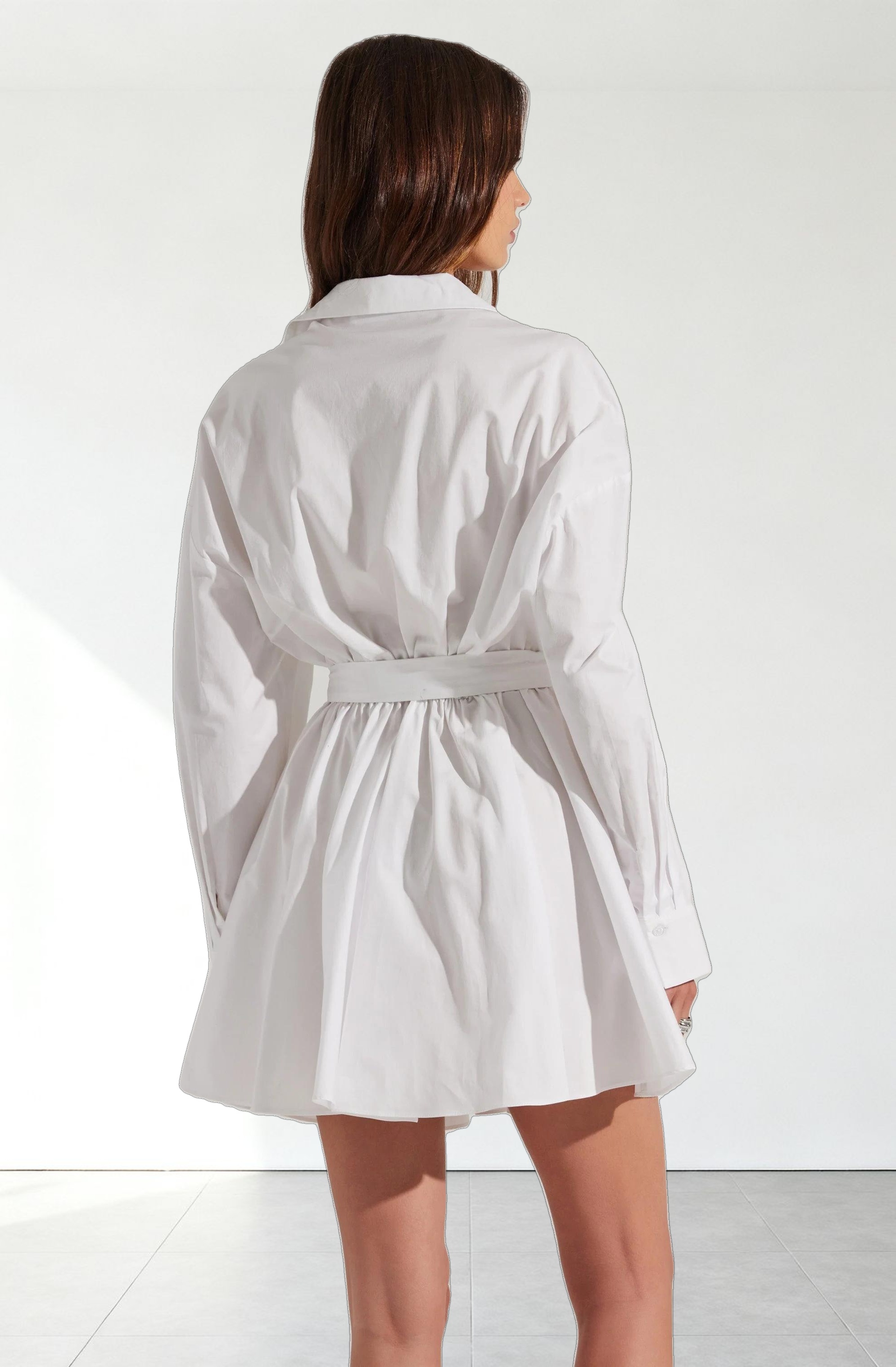 Winica Poplin Mini Dress