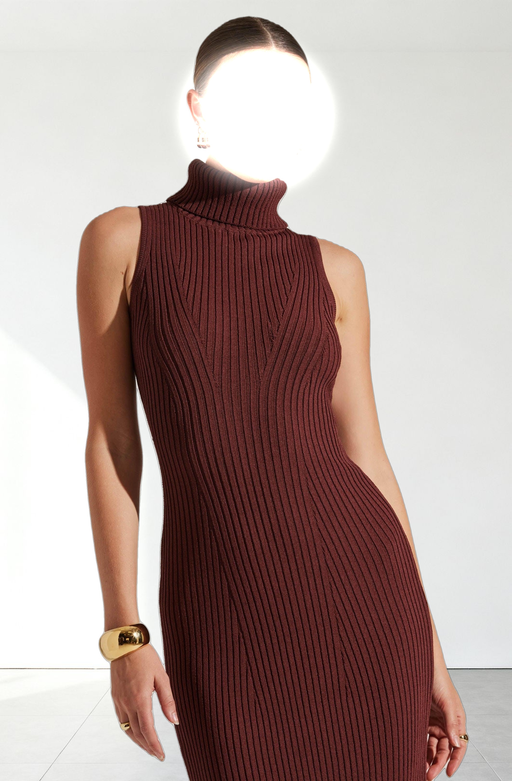Channary Sleeveless Turtleneck Sweater Dress