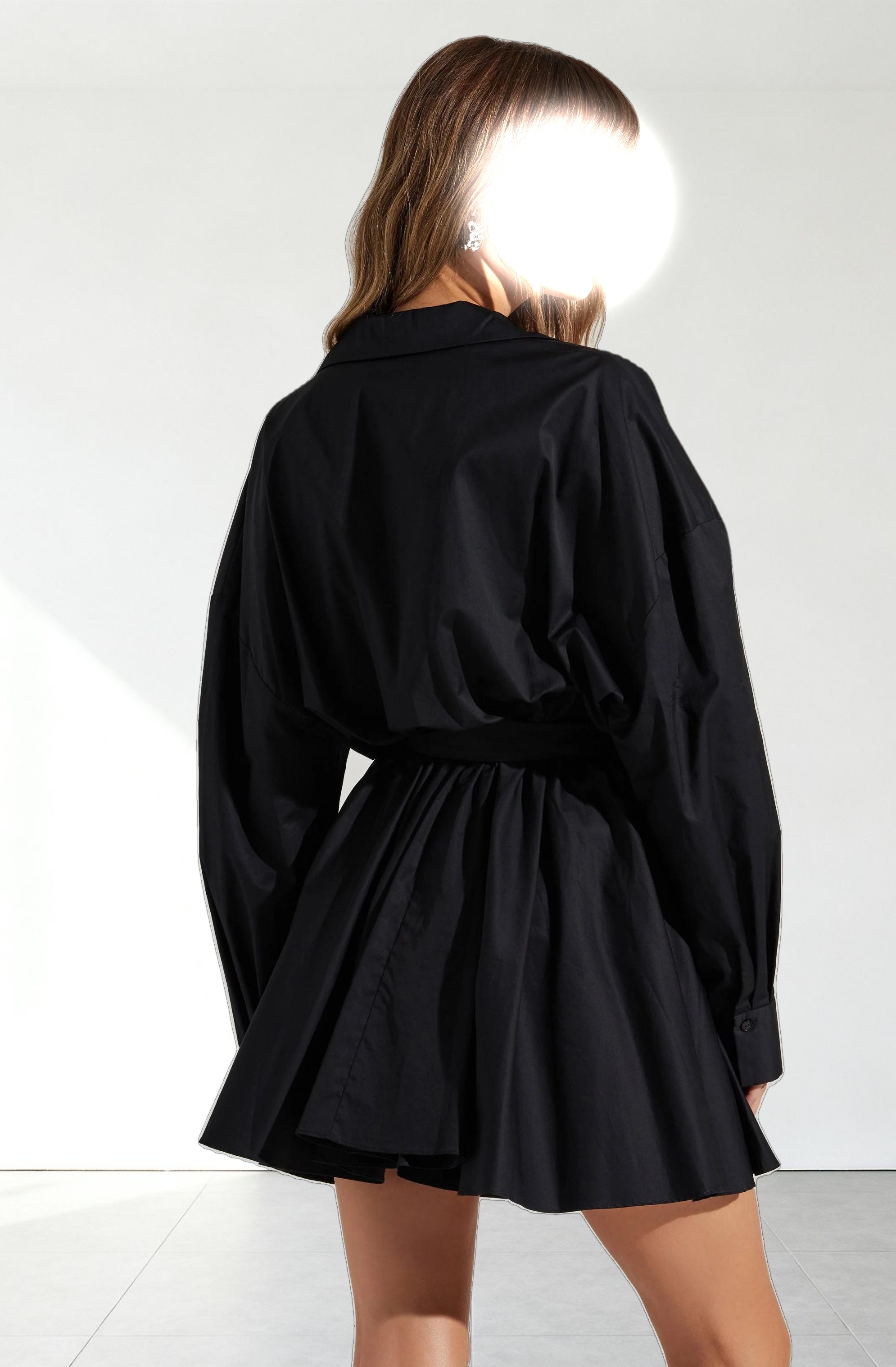 Winica Belted Mini Shirtdress