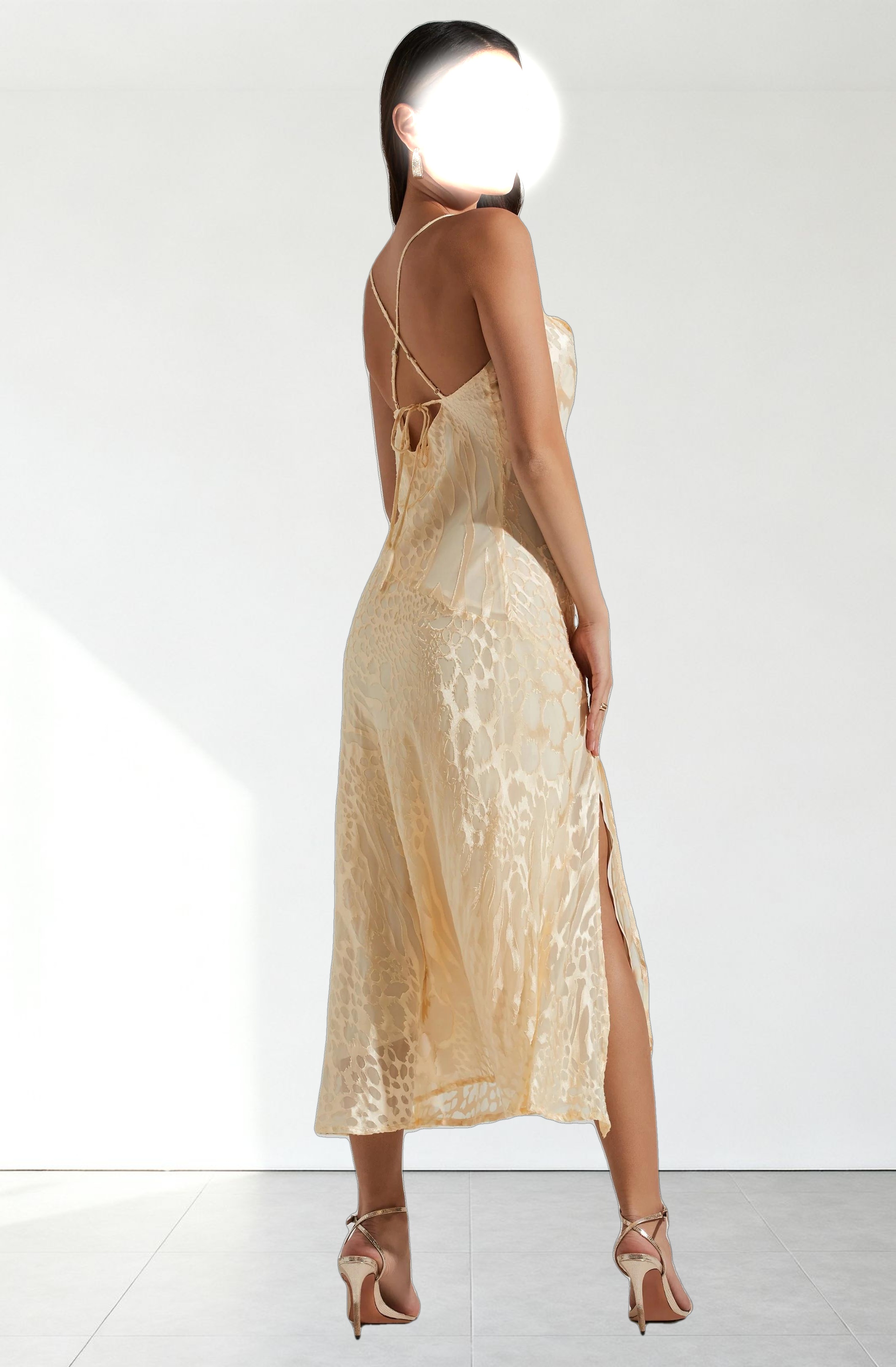 Gaia Burnout Floral Midi Dress