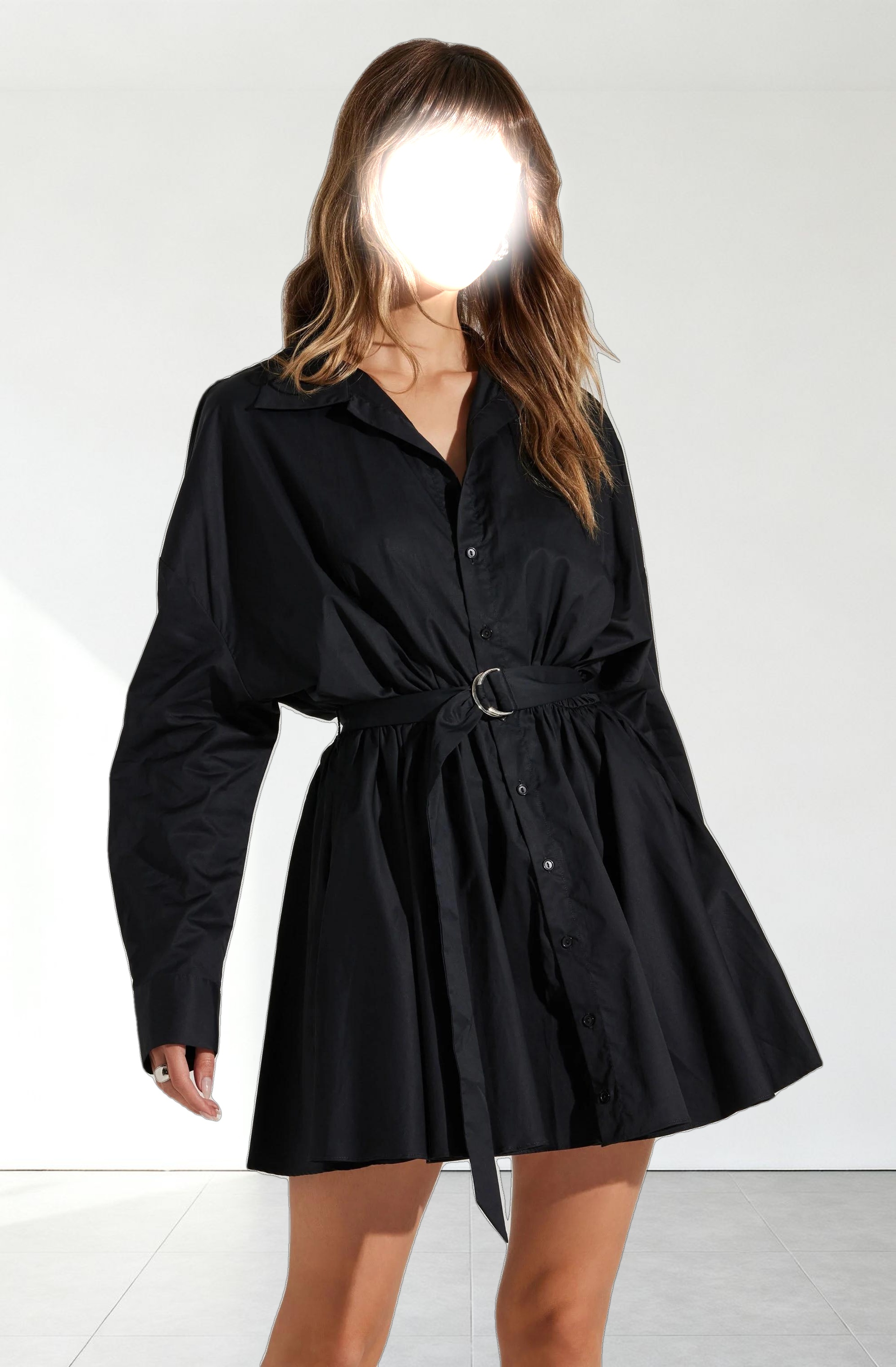 Winica Belted Mini Shirtdress