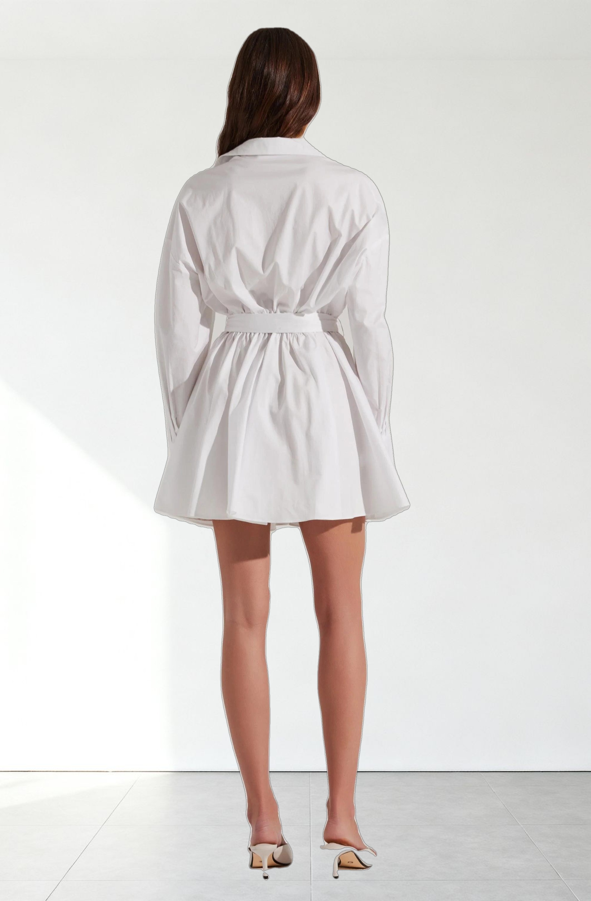 Winica Poplin Mini Dress